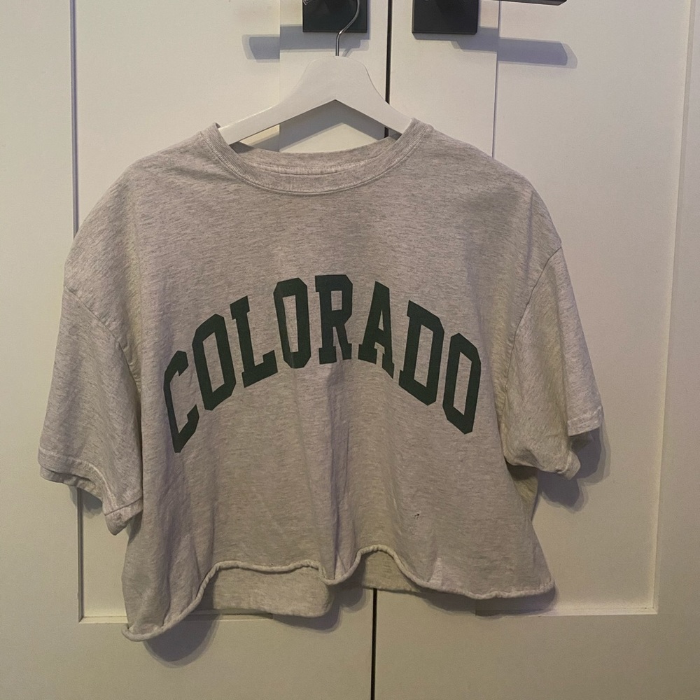 Brandy Melville/John Galt Colorado aleena crop top